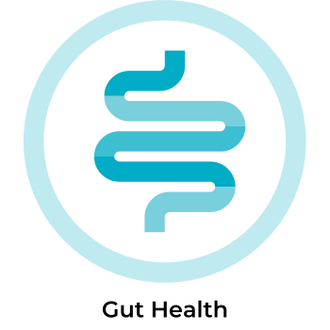 Gut Health